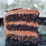 Blackout Healthy Paleo Chocolate Cake